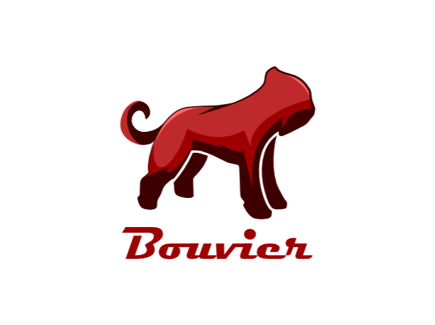 Pay in3 terms at Bouvier Bikes