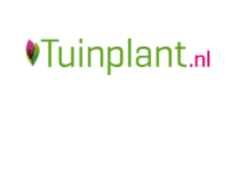 Pay in3 terms at Tuinplant.nl