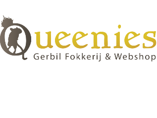 Pay in3 terms at gerbilshopqueenies.nl