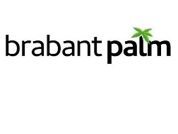 Pay in3 terms at Brabantpalmwebshop