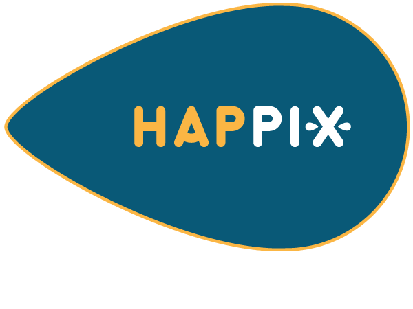 Pay in3 terms at Happix BV