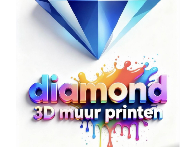 Pay in3 terms at Diamond 3D Muurprinten