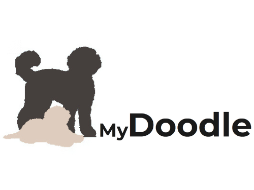 Pay in3 terms at MyDoodle.nl