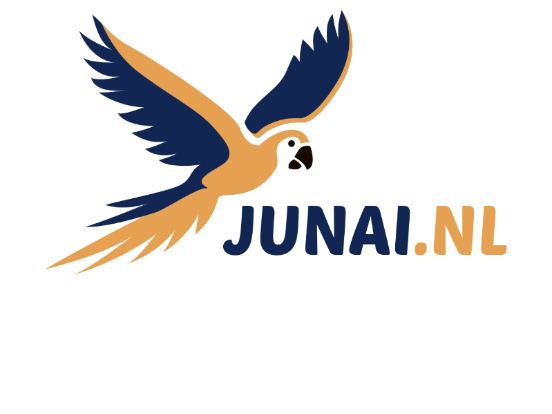 Pay in3 terms at Junai.nl