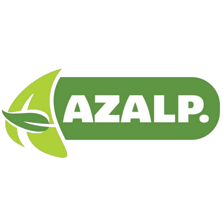 Pay in3 terms at Azalp.nl