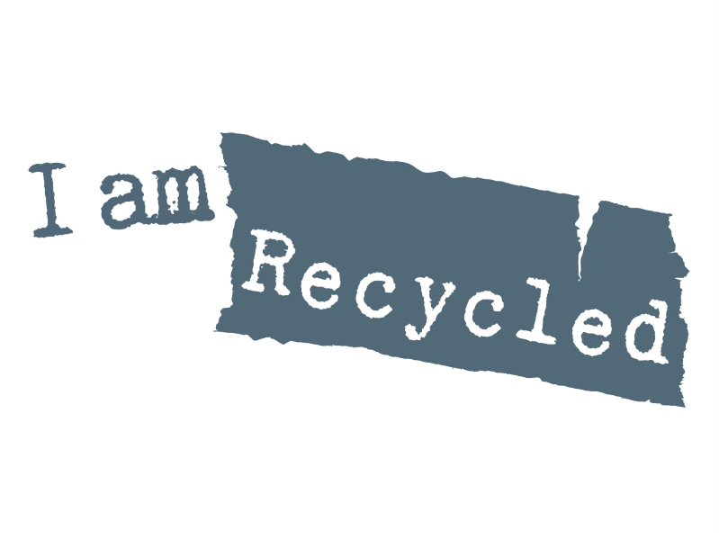 Pay in3 terms at I am Recycled