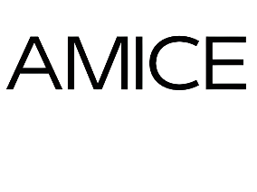 Bij AMICE betalen met in3