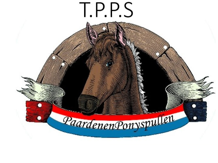 Pay in3 terms at T.P.P.S Paardenenponyspullen